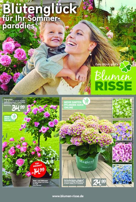 Blumen Risse vom 30.05.2025